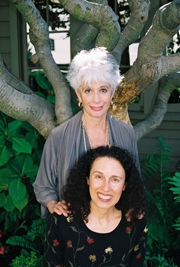 The Schiff/Brandwynne Duo